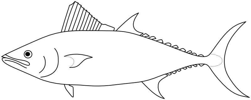Ilustrace zástupce rodu Cybiosarda