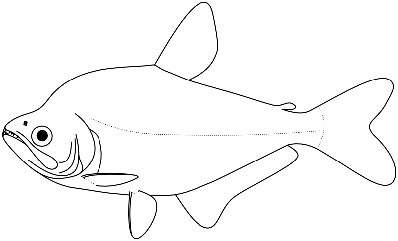 Ilustrace zástupce rodu Cynopotamus