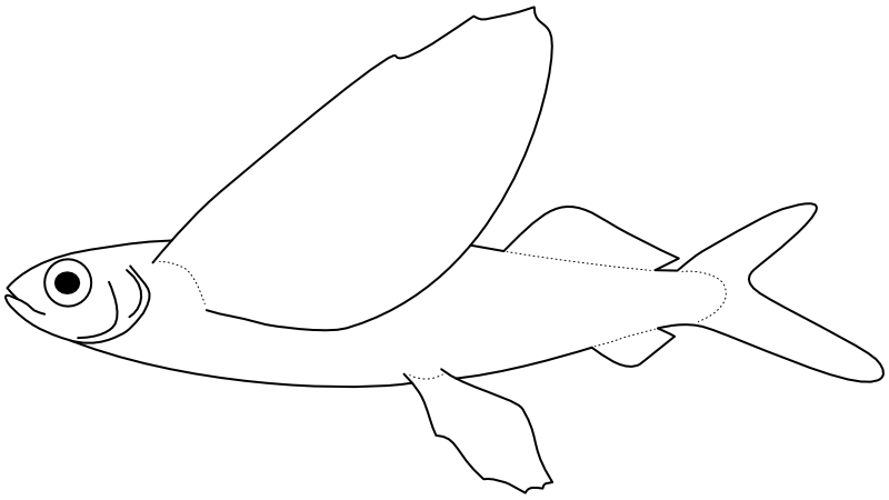 Ilustrace zástupce rodu Cypselurus