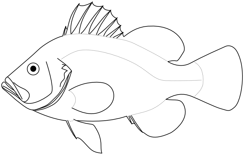 Ilustrace zástupce rodu Diploprion