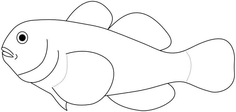 Ilustrace zástupce rodu Gobiodon