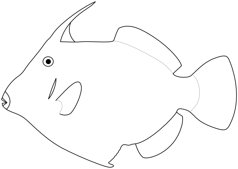 Ilustrace zástupce rodu Amanses