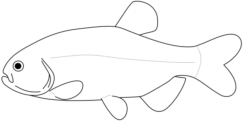 Ilustrace zástupce rodu Grundulus