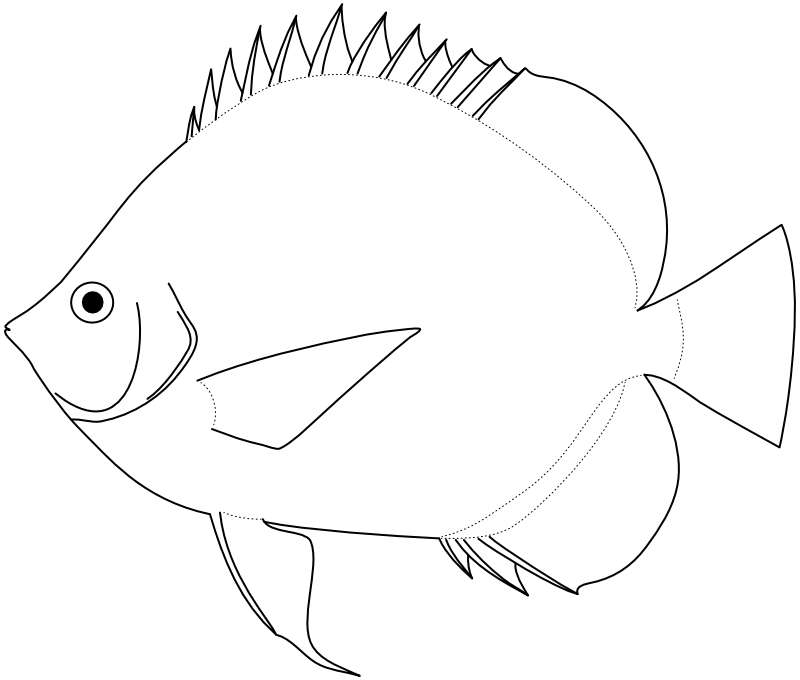 Ilustrace zástupce rodu Hemitaurichthys