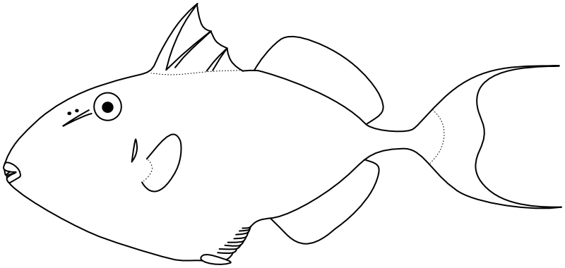 Ilustrace zástupce rodu Abalistes