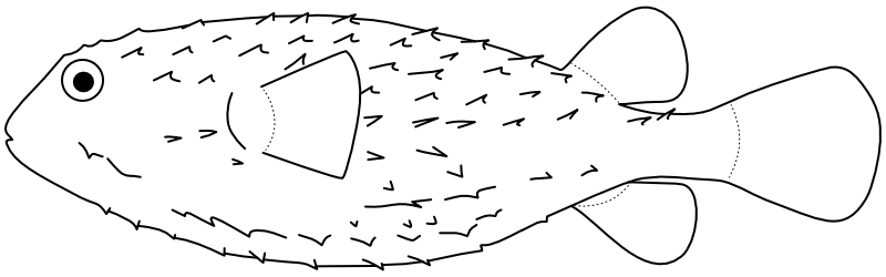 Ilustrace zástupce rodu Chilomycterus