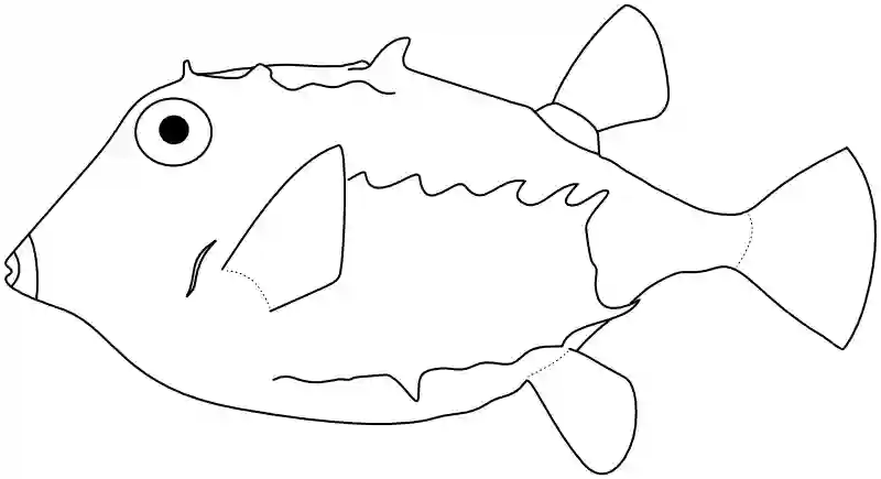 Ilustrace zástupce rodu Kentrocapros