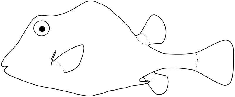 Ilustrace zástupce rodu Lactophrys