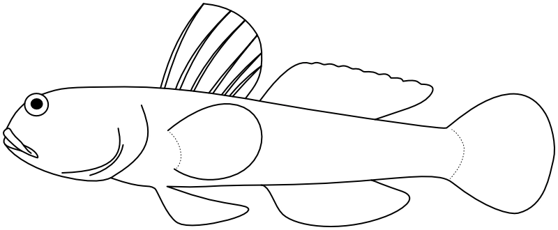 Ilustrace zástupce rodu Mahidolia