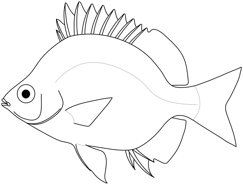 Ilustrace zástupce rodu Microcanthus