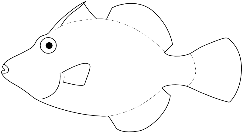 Ilustrace zástupce rodu Paraluteres