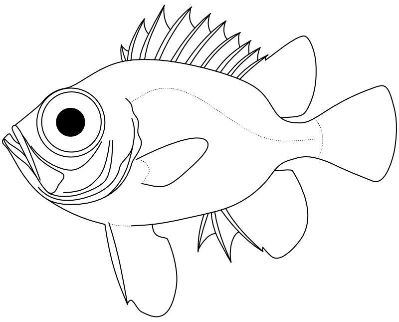 Ilustrace zástupce rodu Pristigenys