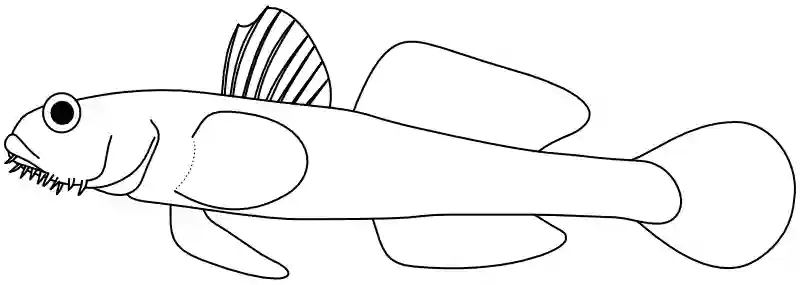 Ilustrace zástupce rodu Sagamia