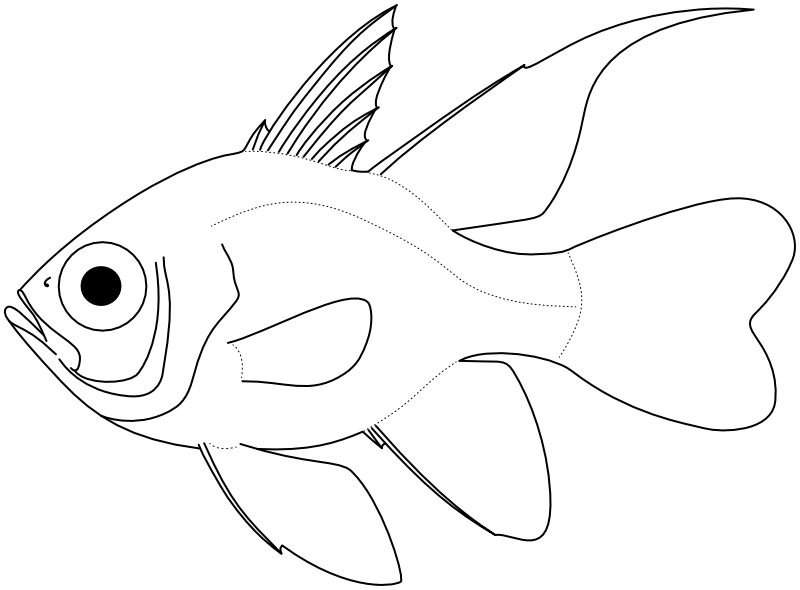 Ilustrace zástupce rodu Sphaeramia