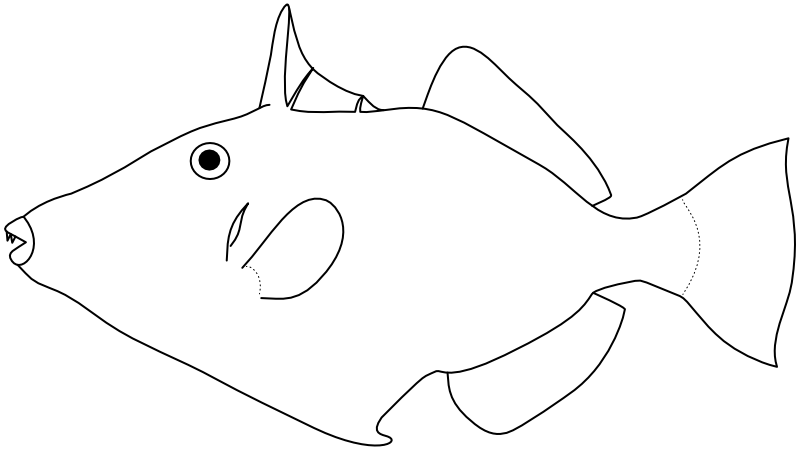 Ilustrace zástupce rodu Sufflamen