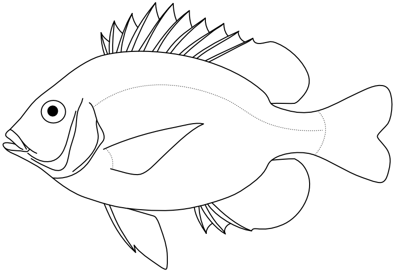 Ilustrace zástupce rodu Wattsia