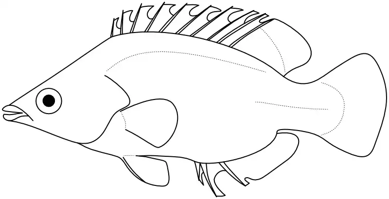 Ilustrace zástupce rodu Wetmorella