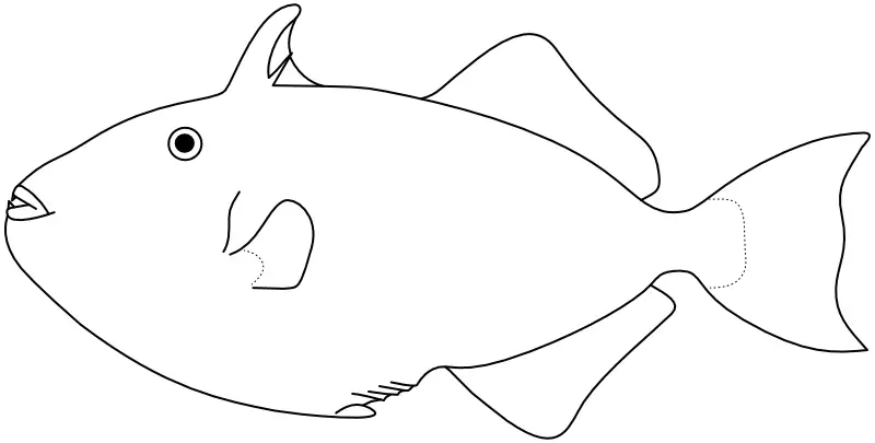 Ilustrace zástupce rodu Xanthichthys