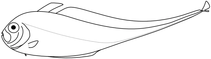 Ilustrace zástupce rodu Zu