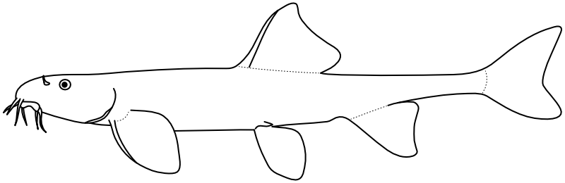 Ilustrace zástupce rodu Dzihunia