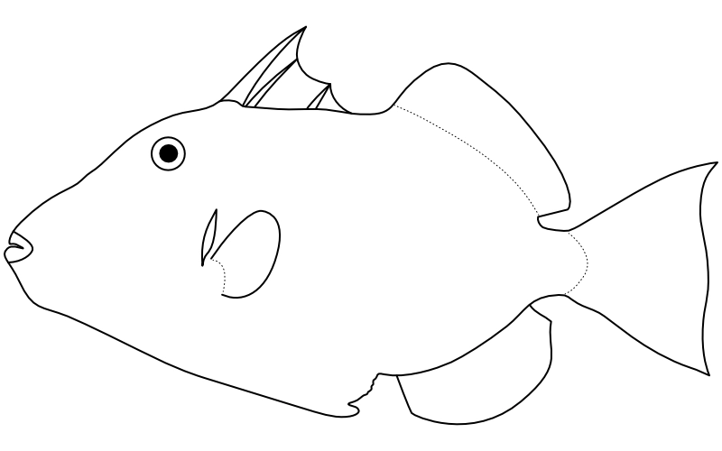 Ilustrace zástupce rodu Balistapus