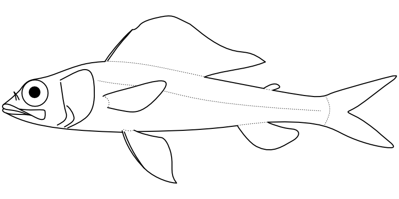 Ilustrace zástupce rodu Hime