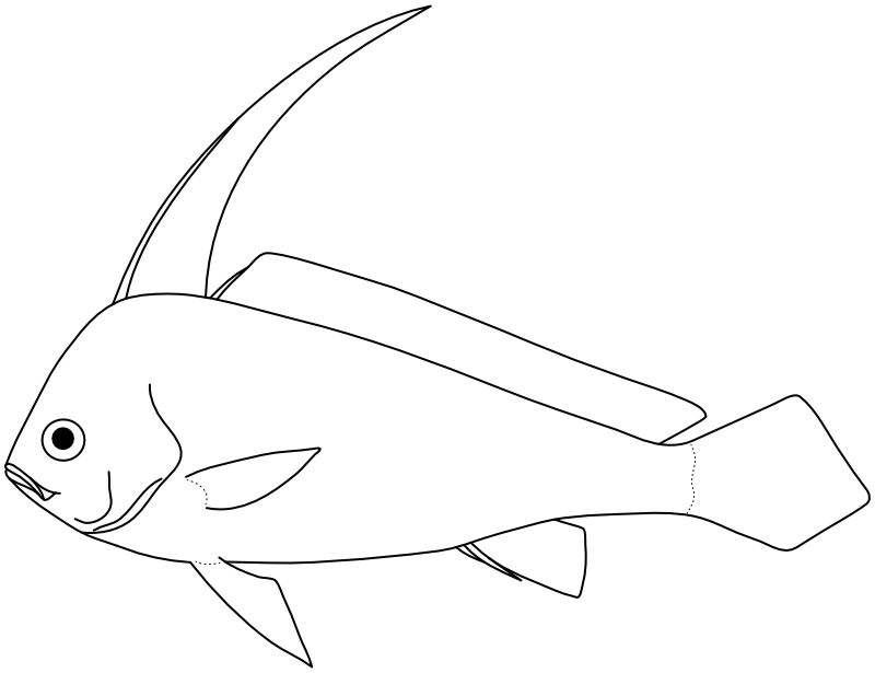 Ilustrace zástupce rodu Eques