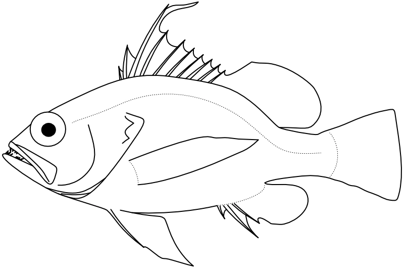 Ilustrace zástupce rodu Pelontrus