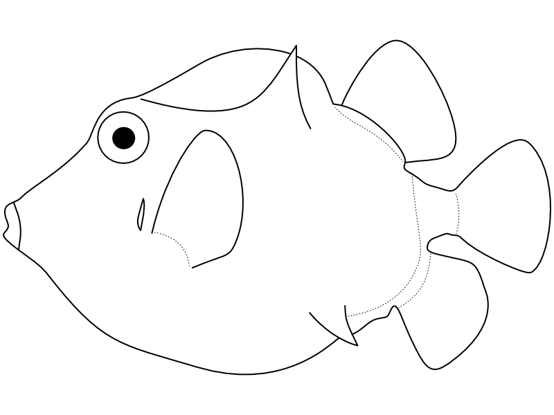 Ilustrace zástupce rodu Capropygia