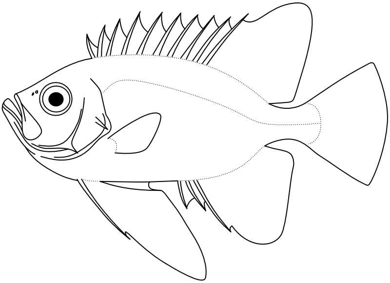 Ilustrace zástupce rodu Cookeolus