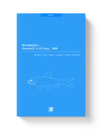 Ilustrace publikace pro rod Macrhybopsis