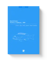 Ilustrace publikace pro rod Buccochromis