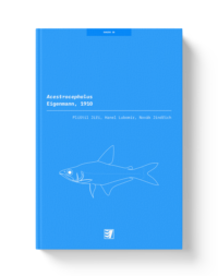 Ilustrace publikace pro rod Acestrocephalus